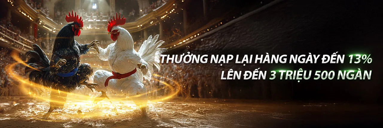 Trải nghiệm Live Casino tại i9bet129