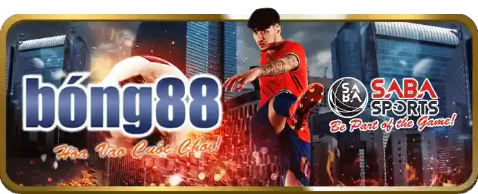 Nền tảng cá cược đá gà an toàn và bảo mật